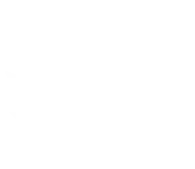 ssg-net1.com-logo